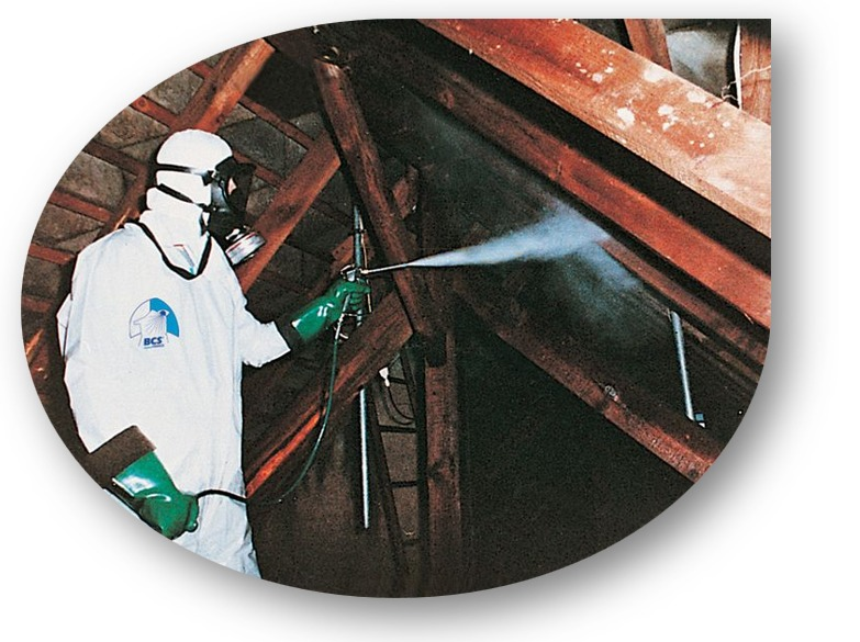 WhatsApp Image 2025-04-02 at 21.08.12 (1).png