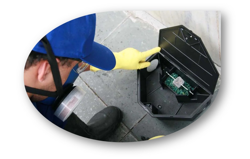 WhatsApp Image 2025-04-02 at 21.10.40 (1).png