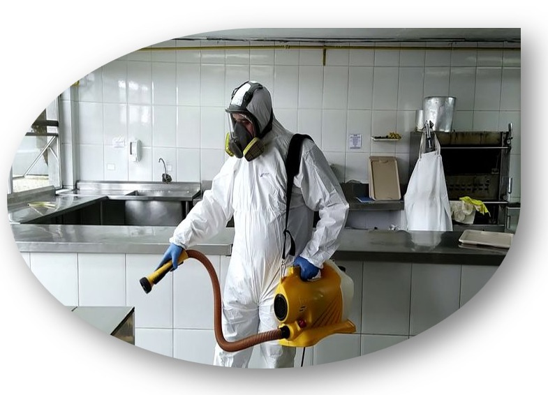 WhatsApp Image 2025-04-02 at 20.55.24 (1).png