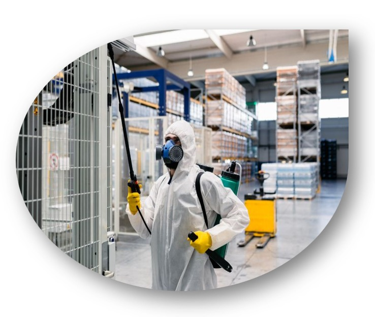 WhatsApp Image 2025-04-02 at 20.55.31.png